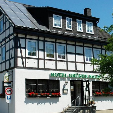 Hotel Gruener Baum Штольберг Екстер'єр фото